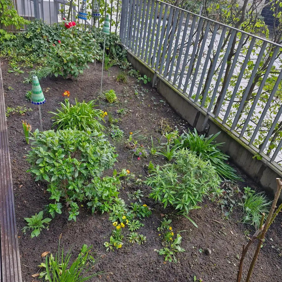Blühendes Staudenbeet